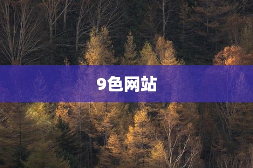 9色网站