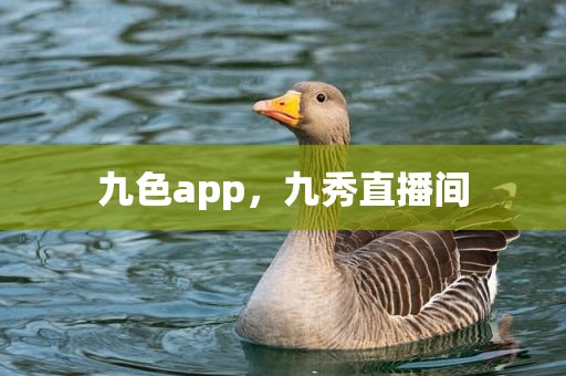 九色app，九秀直播间
