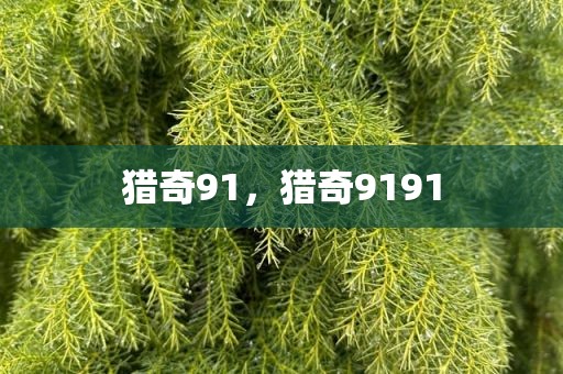 猎奇91，猎奇9191