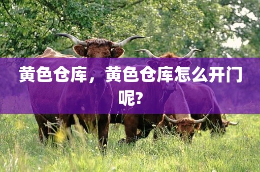 黄色仓库，黄色仓库怎么开门呢?