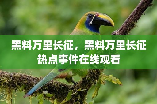 黑料万里长征，黑料万里长征热点事件在线观看