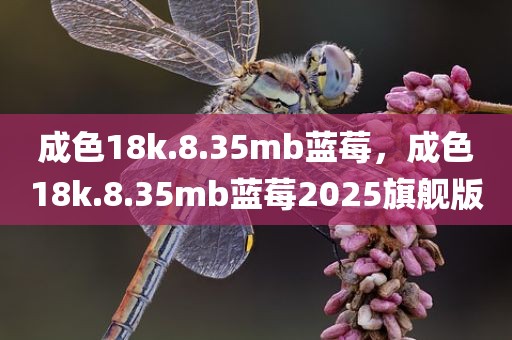 成色18k.8.35mb蓝莓，成色18k.8.35mb蓝莓2025旗舰版