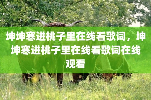 坤坤寒进桃子里在线看歌词，坤坤寒进桃子里在线看歌词在线观看