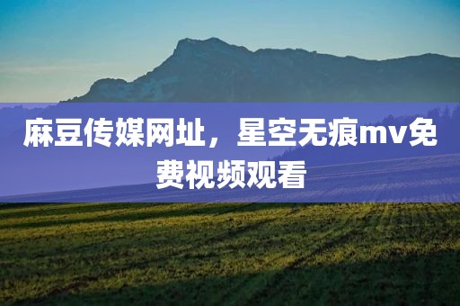 麻豆传媒网址，星空无痕mv免费视频观看