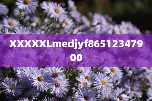 XXXXXLmedjyf86512347900