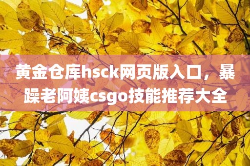 黄金仓库hsck网页版入口，暴躁老阿姨csgo技能推荐大全
