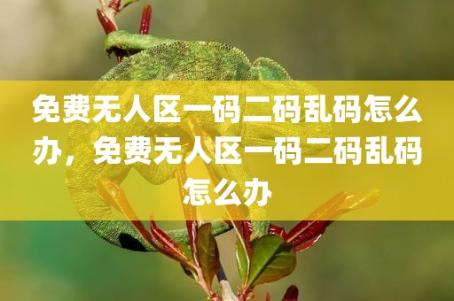 免费无人区一码二码乱码怎么办，免费无人区一码二码乱码怎么办