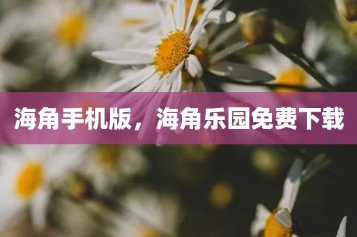 海角手机版，海角乐园免费下载