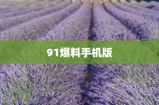 91爆料手机版