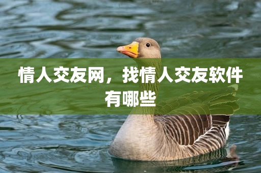 情人交友网，找情人交友软件有哪些