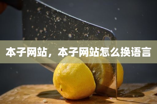本子网站，本子网站怎么换语言