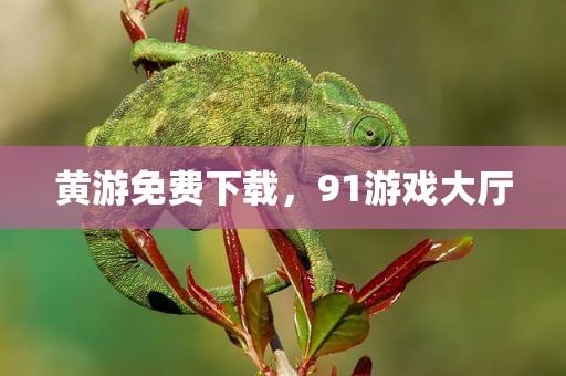 黄游免费下载，91游戏大厅