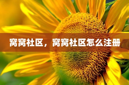窝窝社区，窝窝社区怎么注册