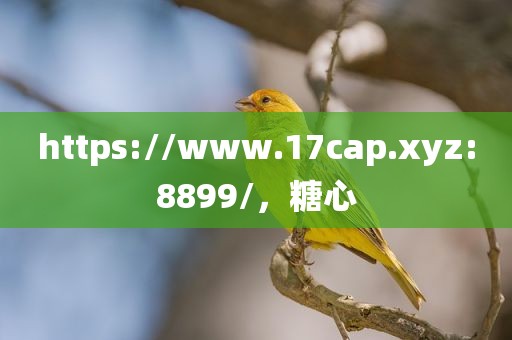 https://www.17cap.xyz:8899/，糖心