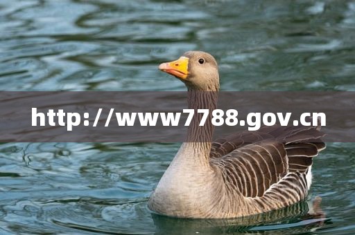 http://www7788.gov.cn