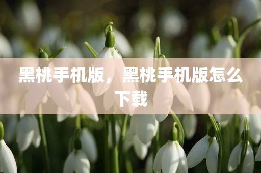 黑桃手机版，黑桃手机版怎么下载
