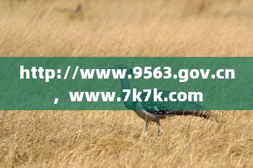 http://www.9563.gov.cn，www.7k7k.com