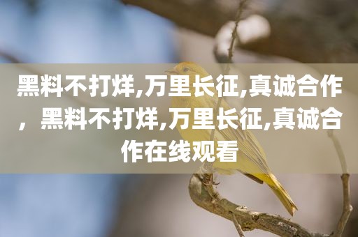 黑料不打烊,万里长征,真诚合作，黑料不打烊,万里长征,真诚合作在线观看