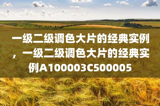 一级二级调色大片的经典实例，一级二级调色大片的经典实例A100003C500005
