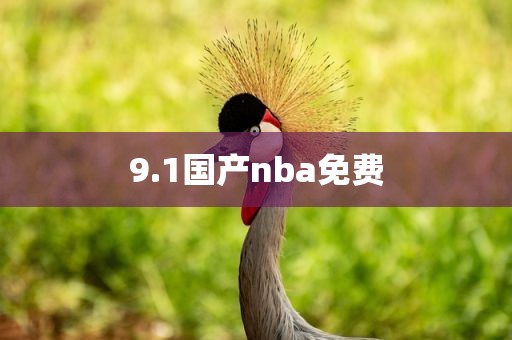 9.1国产nba免费