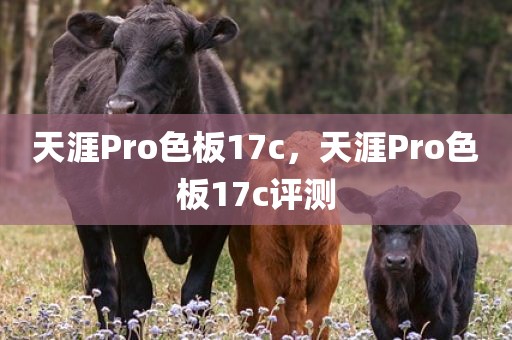 天涯Pro色板17c，天涯Pro色板17c评测
