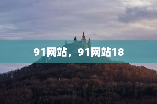 91网站，91网站18
