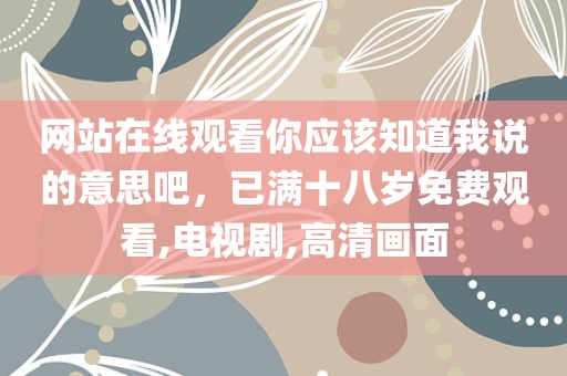 网站在线观看你应该知道我说的意思吧，已满十八岁免费观看,电视剧,高清画面
