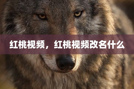 红桃视频，红桃视频改名什么