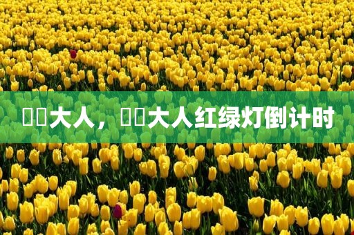 芃芃大人，芃芃大人红绿灯倒计时