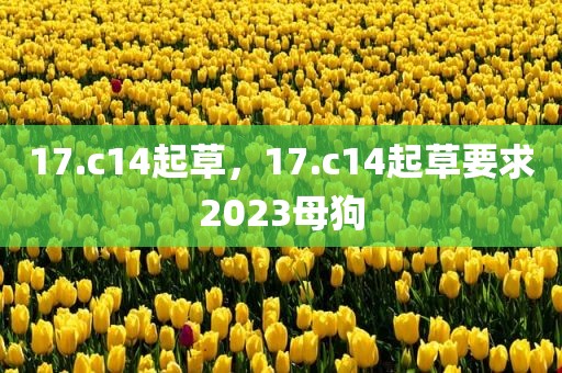17.c14起草，17.c14起草要求2023母狗