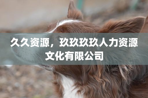 久久资源，玖玖玖玖人力资源文化有限公司