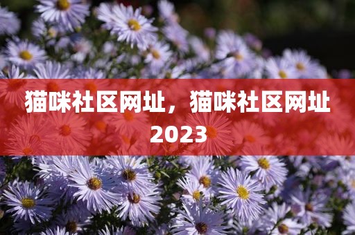 猫咪社区网址，猫咪社区网址2023
