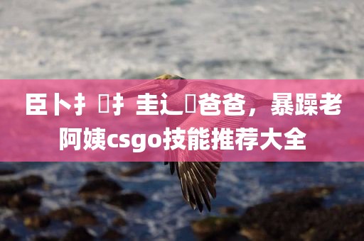 臣卜扌喿扌圭辶畐爸爸，暴躁老阿姨csgo技能推荐大全