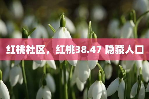 红桃社区，红桃38.47 隐藏人口