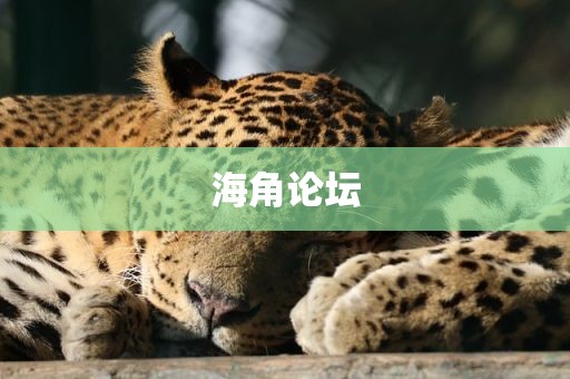海角论坛