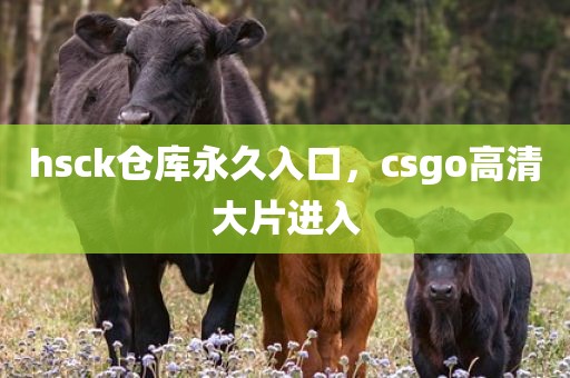 hsck仓库永久入口，csgo高清大片进入