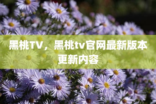 黑桃TV，黑桃tv官网最新版本更新内容