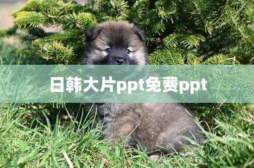 日韩大片ppt免费ppt