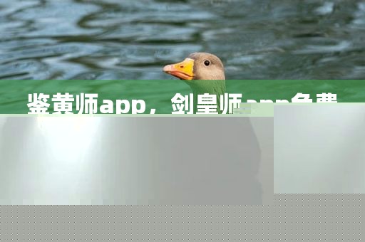 鉴黄师app，剑皇师app免费观看入口