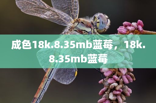 成色18k.8.35mb蓝莓，18k.8.35mb蓝莓