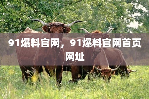91爆料官网，91爆料官网首页网址