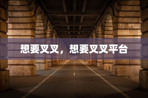 想要叉叉，想要叉叉平台