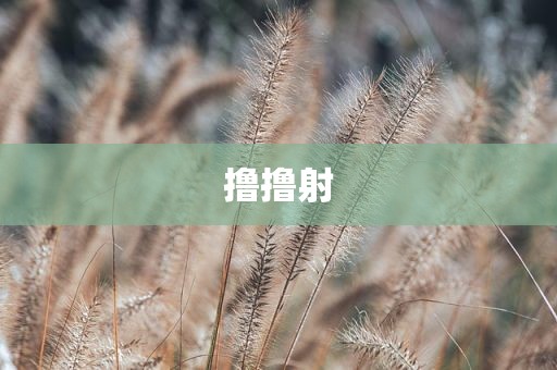 撸撸射