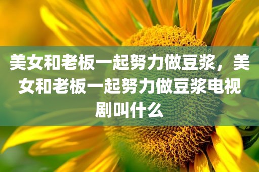 美女和老板一起努力做豆浆，美女和老板一起努力做豆浆电视剧叫什么