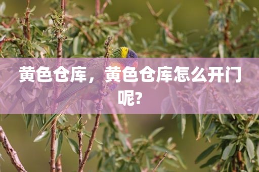 黄色仓库，黄色仓库怎么开门呢?