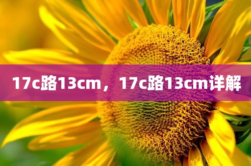17c路13cm，17c路13cm详解