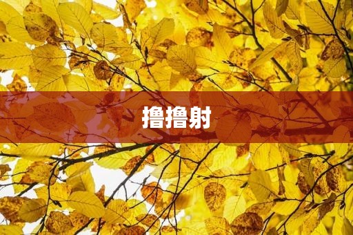 撸撸射