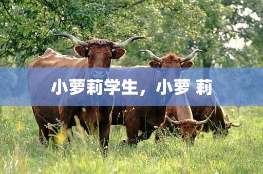小萝莉学生，小萝 莉