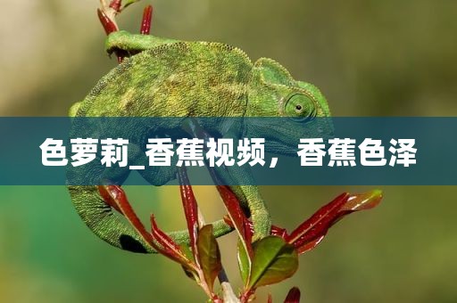 色萝莉_香蕉视频，香蕉色泽