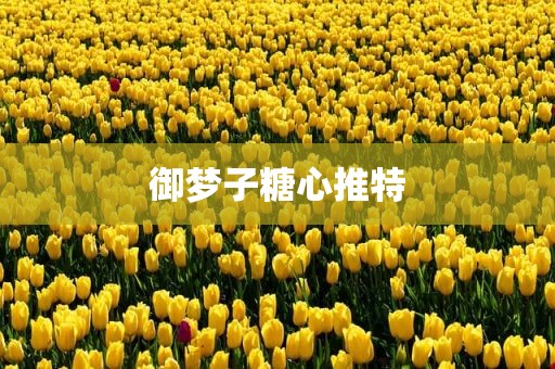 御梦子糖心推特